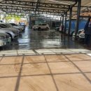 자연세차장 이미지