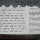 포정