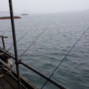 낚시타운 좌대낚시 Daum카페