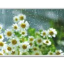 중앙여인숙 이미지