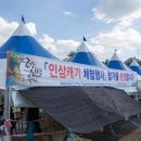 솔체험캠프