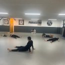 파라에스트라하계주짓수mma