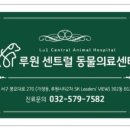 루원 센트럴 동물의료센터 이미지