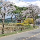 나정주유소 이미지