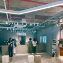 맹그로브 제주시티 이미지