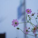 삼동암천 이미지