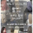 다니헤어 - 연수구 | 다니헤어