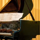 강남-271 이미지