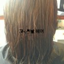 봄이꽃피다 이미지