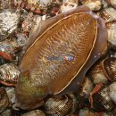 해양수산복합센터 이미지