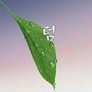 산처럼물처럼 이미지