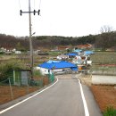 아차도민박 이미지