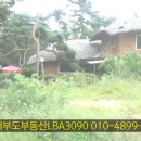 소나무가든 Daum카페