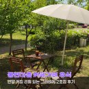 멍글(mongle) | 안양 동편마을 카페거리 커피 리필 되는 테라스 휴식 그라비에 2호점