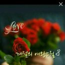 수요일 - 군산시 상지곡1길 14-6 | 수요일