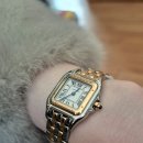 (주)팬더8 | 까르띠에 팬더 콤비 스몰 인상 가격 및 착용 후기