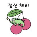 포항세꼬시
