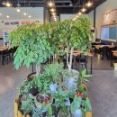 진황제돼지찌개전문점 이미지