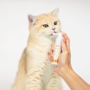 덴탈 케어 시스템 | 고양이 치아관리 구강관리 제품 포포우 덴탈케어 내돈내산 후기