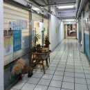 꽃물드리다 네이버블로그