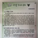 대전중앙초등학교 이미지