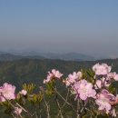 18세기 조선의 역병, 홍역에 맞서다 이미지