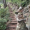 황령산 벚꽃약수터 이미지