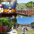 충북 청주 가볼만한곳 청남대 영춘제 봄꽃축제 봄나들이