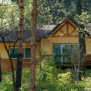 금강송 생태경영림 이미지