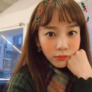 강아지가정부 이미지