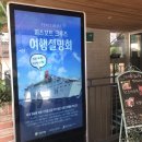 [피스보트] 103회 마지막 서울 설명회 - 착한여행 후기