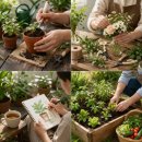 [덕계]힐링원예「꽃꽂이와 식물심기」 | 원예치료 효과 진짜 있을까? 직접 해본 후기