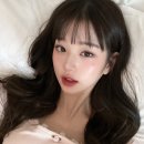 프리모르 이미지