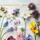 안부플라워 이미지