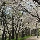 인천광역시농업기계교육관 이미지