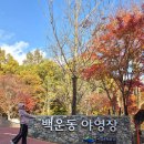 수륜면사무소 | [경북/성주] 가을 단풍 즐기기 좋은 가을 캠핑장 추천, 가야산 백운동야영장