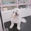 한송이 미용실 이미지