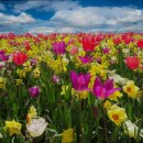 효자실버요양원 이미지