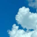 해송피크닉장 이미지