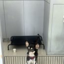 마젠타네일 | 광주 하남 네일샵 추천, 매력네일 후기