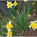 재열농장 이미지