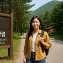 천보산자연휴양림캠핑장 이미지
