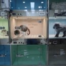 고촌동물병원 이미지