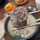 수북순대&머릿고기 | 수지 맛집 대표 식당 옛날경성순대국 수지구청역점! 어린이 메뉴도 있는 가족단위 추천 맛집 후기