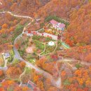 "설악산 안 부러운 단풍숲에서 3만 5천 원 내고 하룻밤"... 산자락에 숨겨진 해발 700m 휴양림 이미지