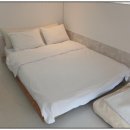 행복 애견방 이미지