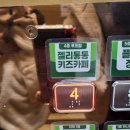 젤리통통 | 춘천 석사동 키즈카페 젤리통통 엔타점 대형 실내 놀이존 아이가 리얼로 즐거워한 날