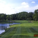 이코중식 이미지