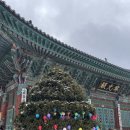 삼배목장 이미지