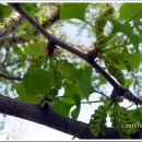 녹동주유소 이미지